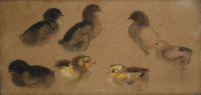 Studi per Uccellini