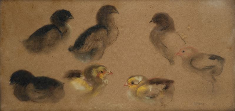 Renato Brozzi - Studi per Uccellini