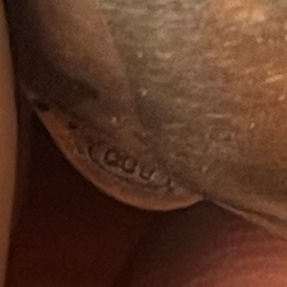 Lotto di sei oggetti