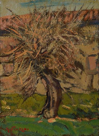 Albero Secco