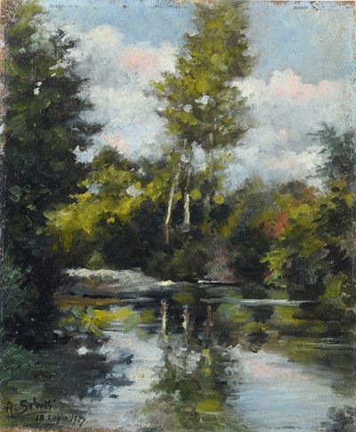 Ruscello nel Bosco