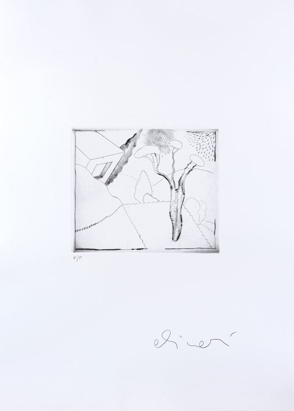 Luca Alinari - Giardino