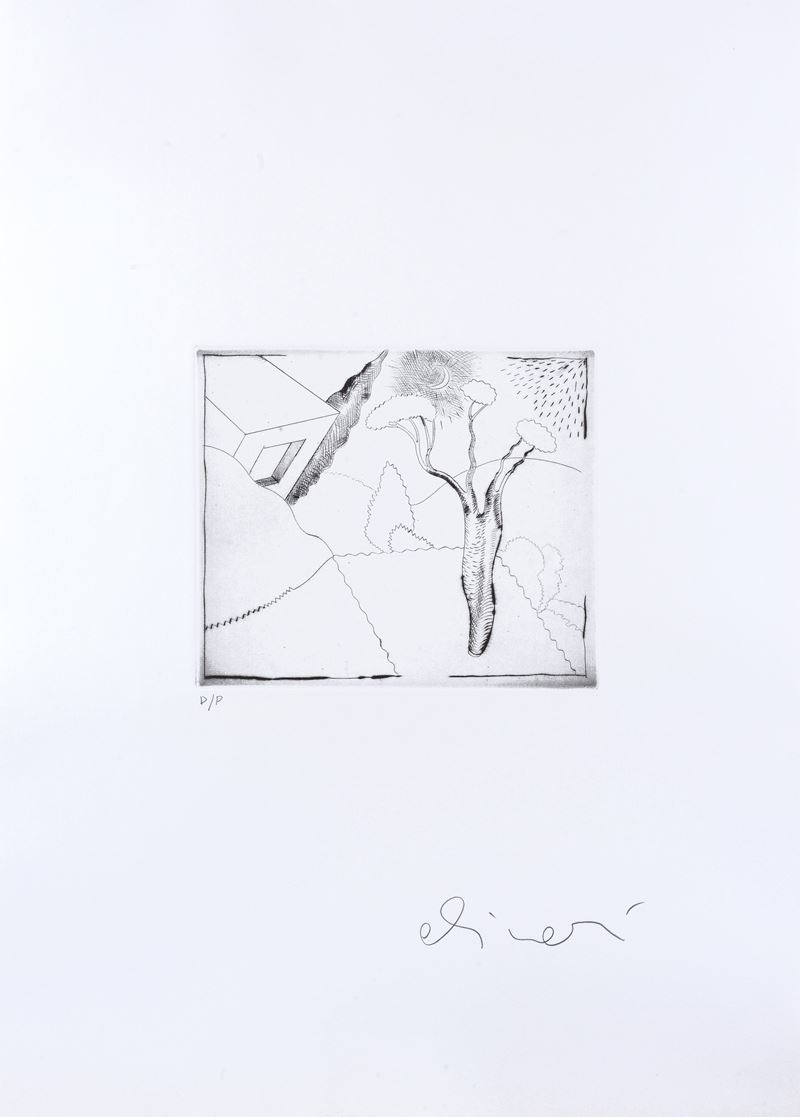 Luca Alinari - Giardino