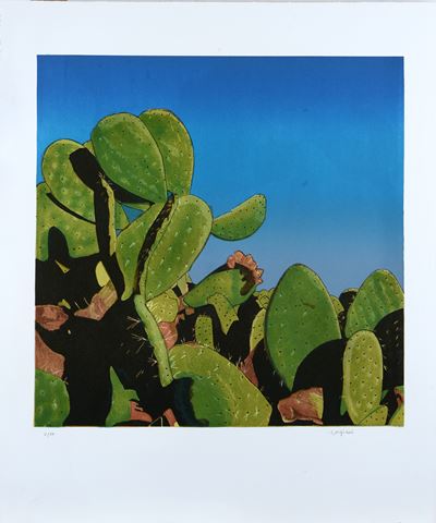 Cactus