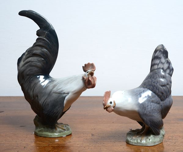 Gallo e gallina