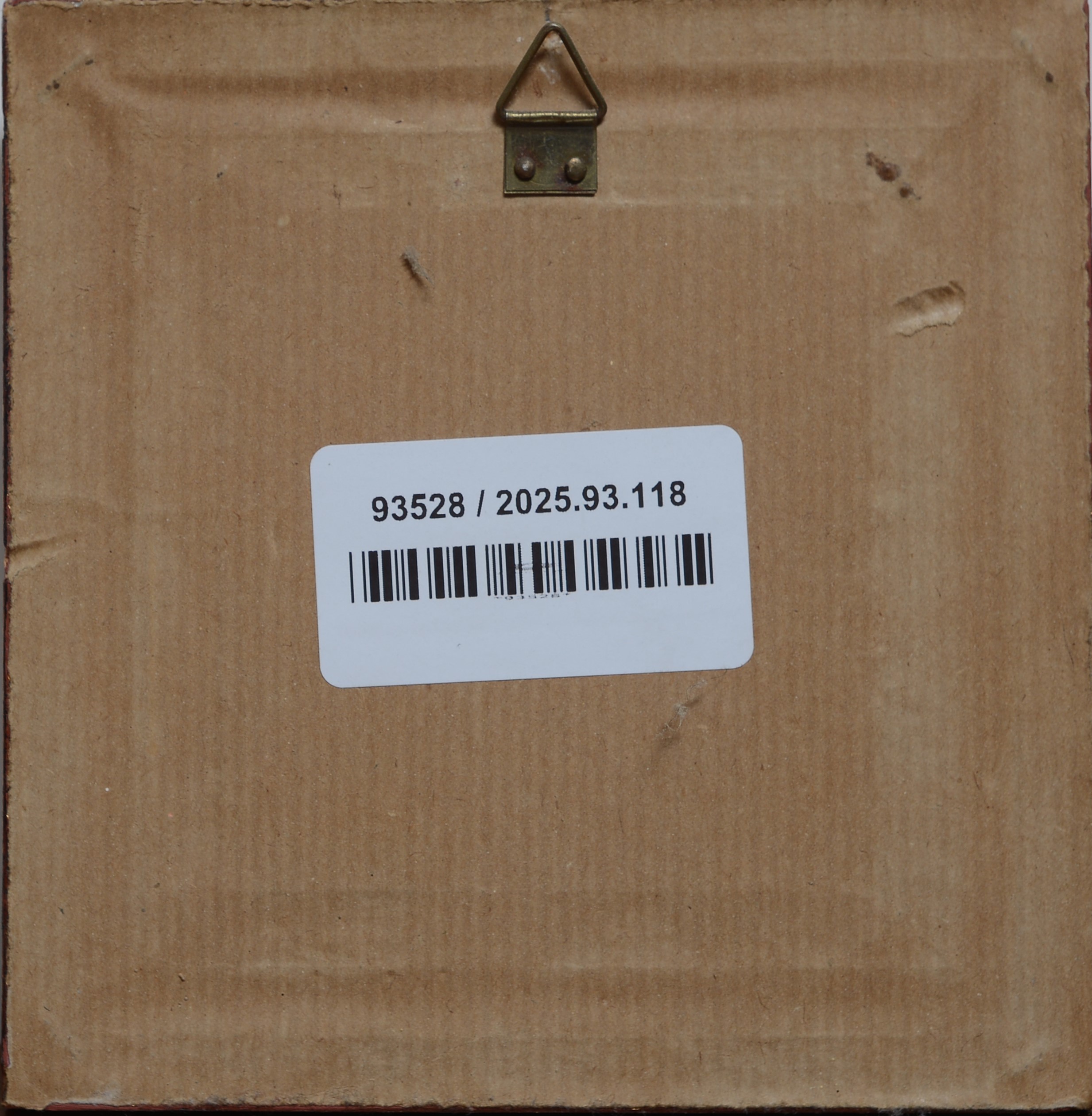 Testa virile con barba