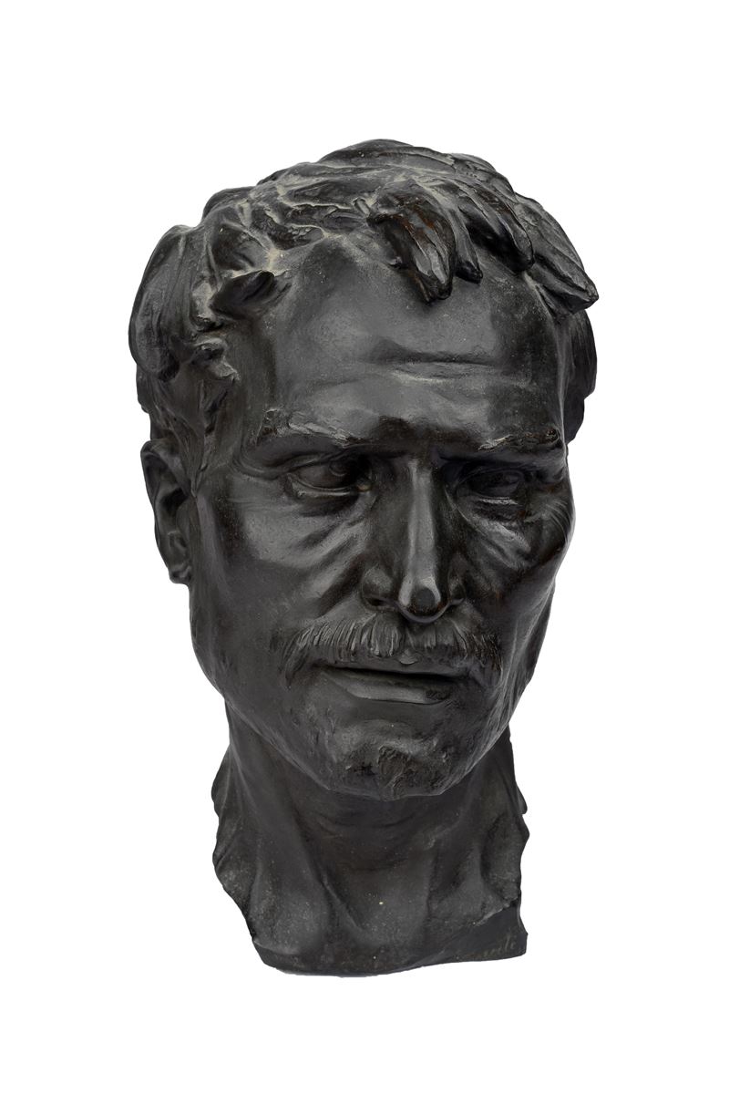 Testa Virile