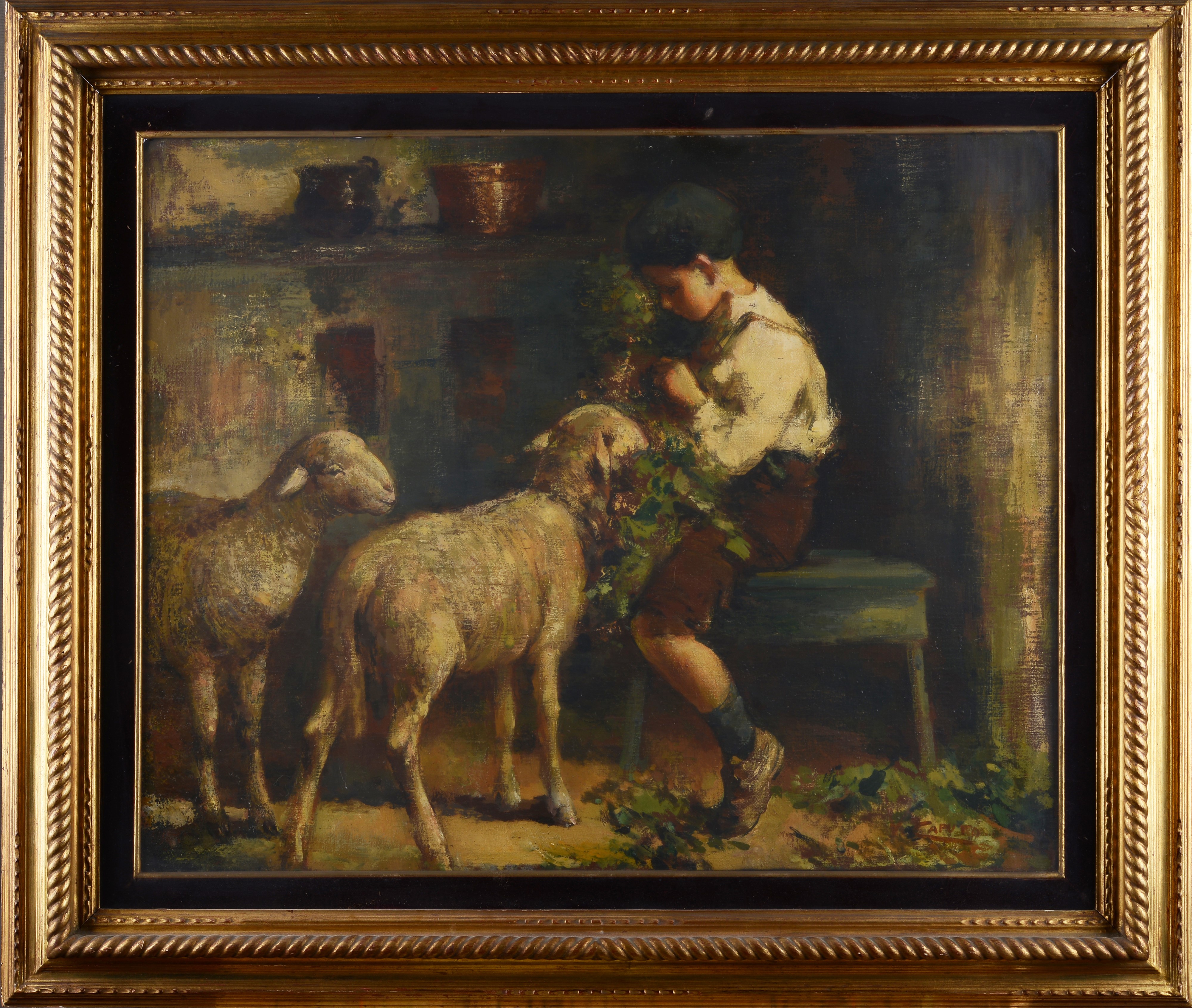 Pastorello nell'ovile