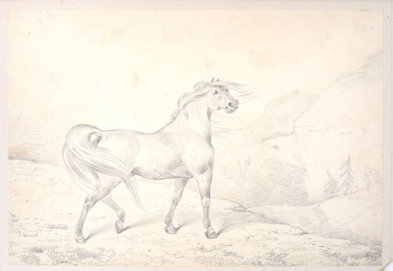 Anonimo, XIX Sec. - Cavallo