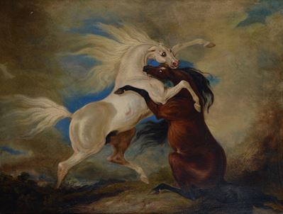 Combattimento di cavalli arabi, olio su tela