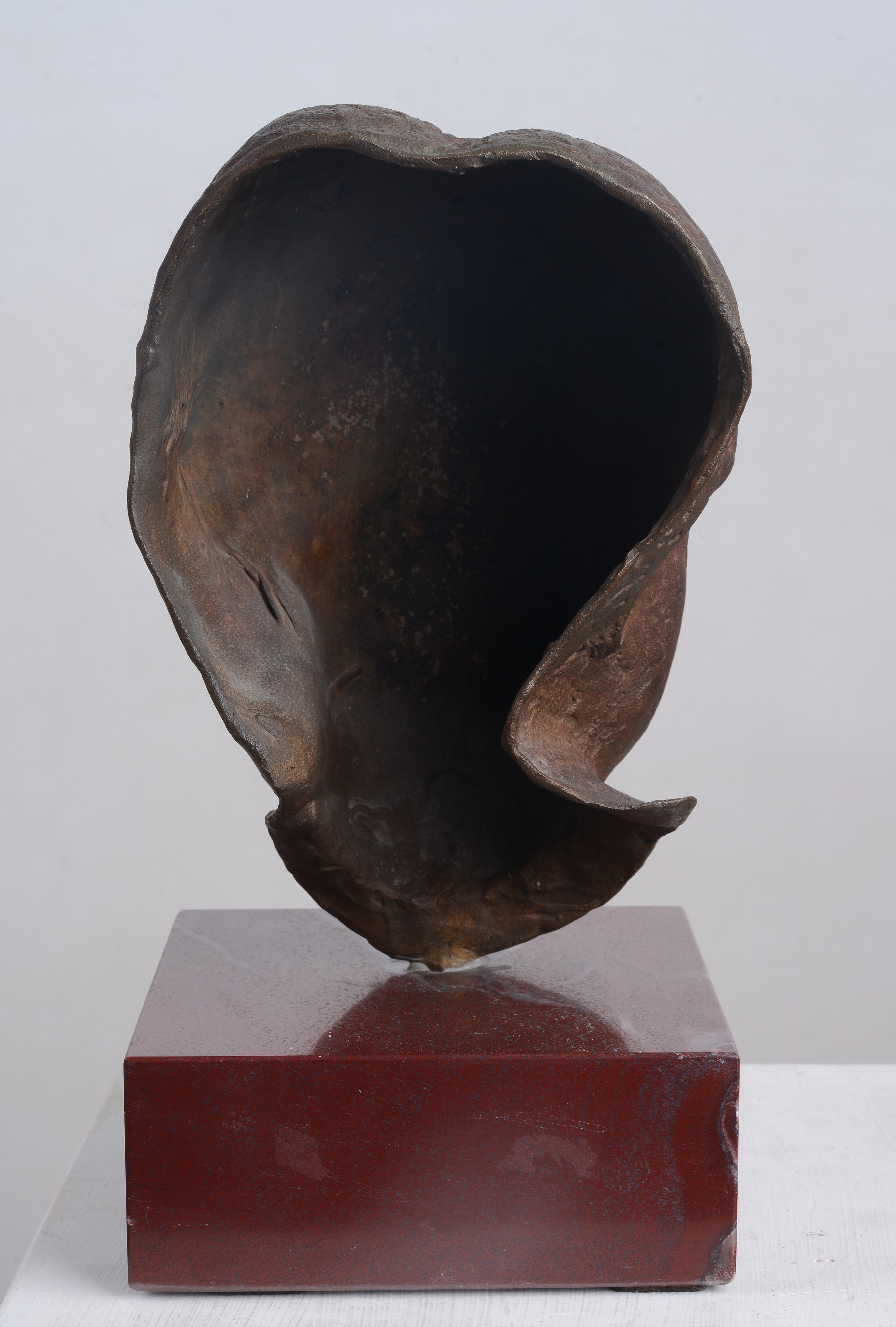 Volto di Anna Spadini