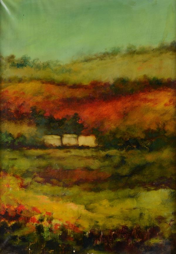 Nuccia Ferrario - Paesaggio
