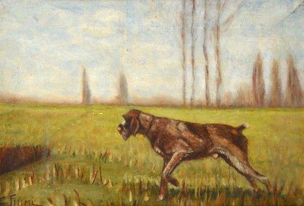 Anonimo, XX sec. - Cane da caccia