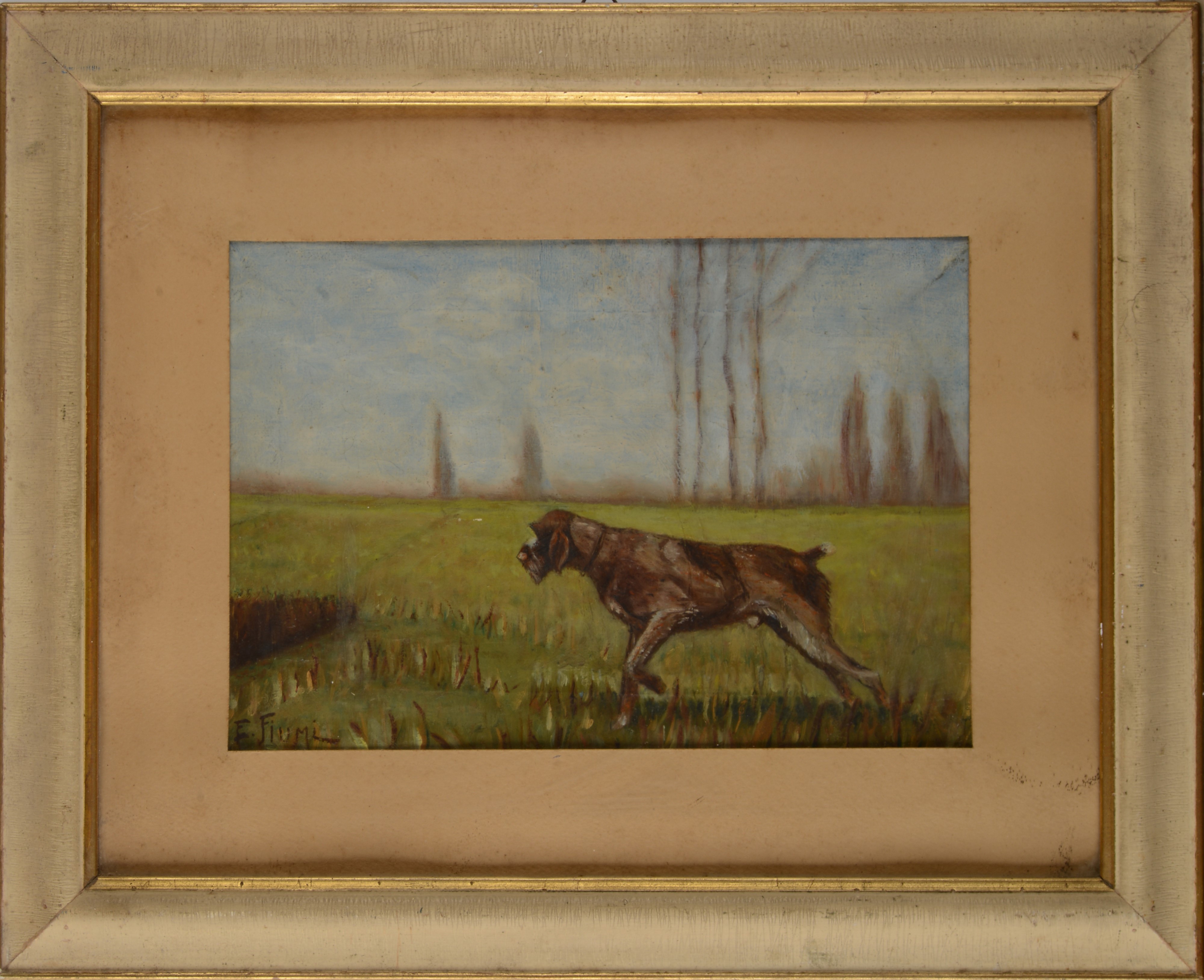 Anonimo, XX Sec. - Cane da Caccia