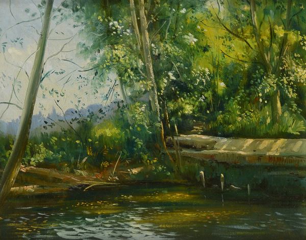 Massimo Callossi - Luci nel bosco