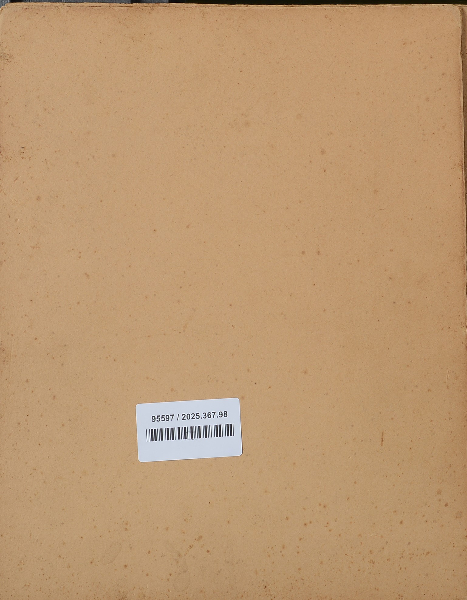 Vincenzo Volpe - Signora che Legge
