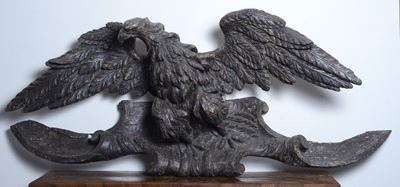 Aquila