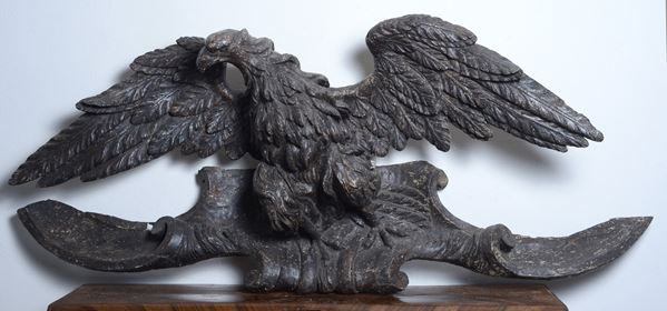 Aquila