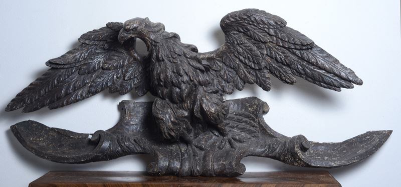 Aquila