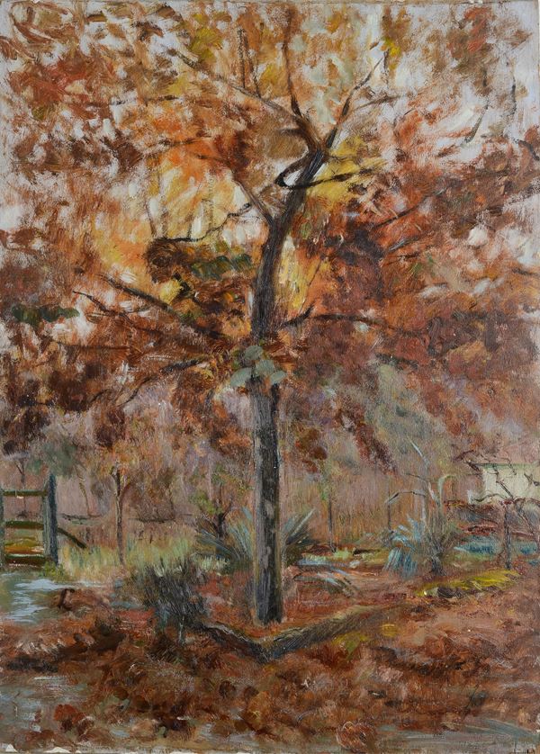 Anonimo, XX sec. - Albero (fronte) Vaso di fiori (verso) 