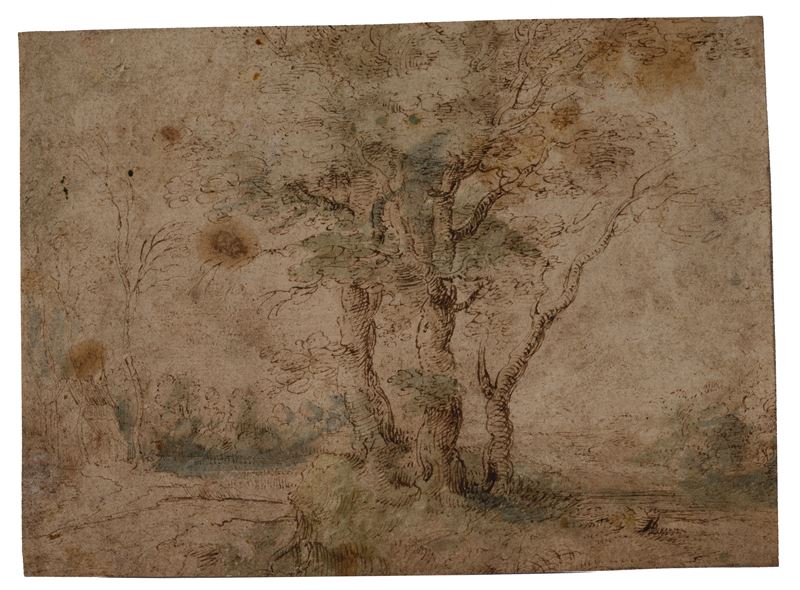 Anonimo, XVII Sec. - Alberi