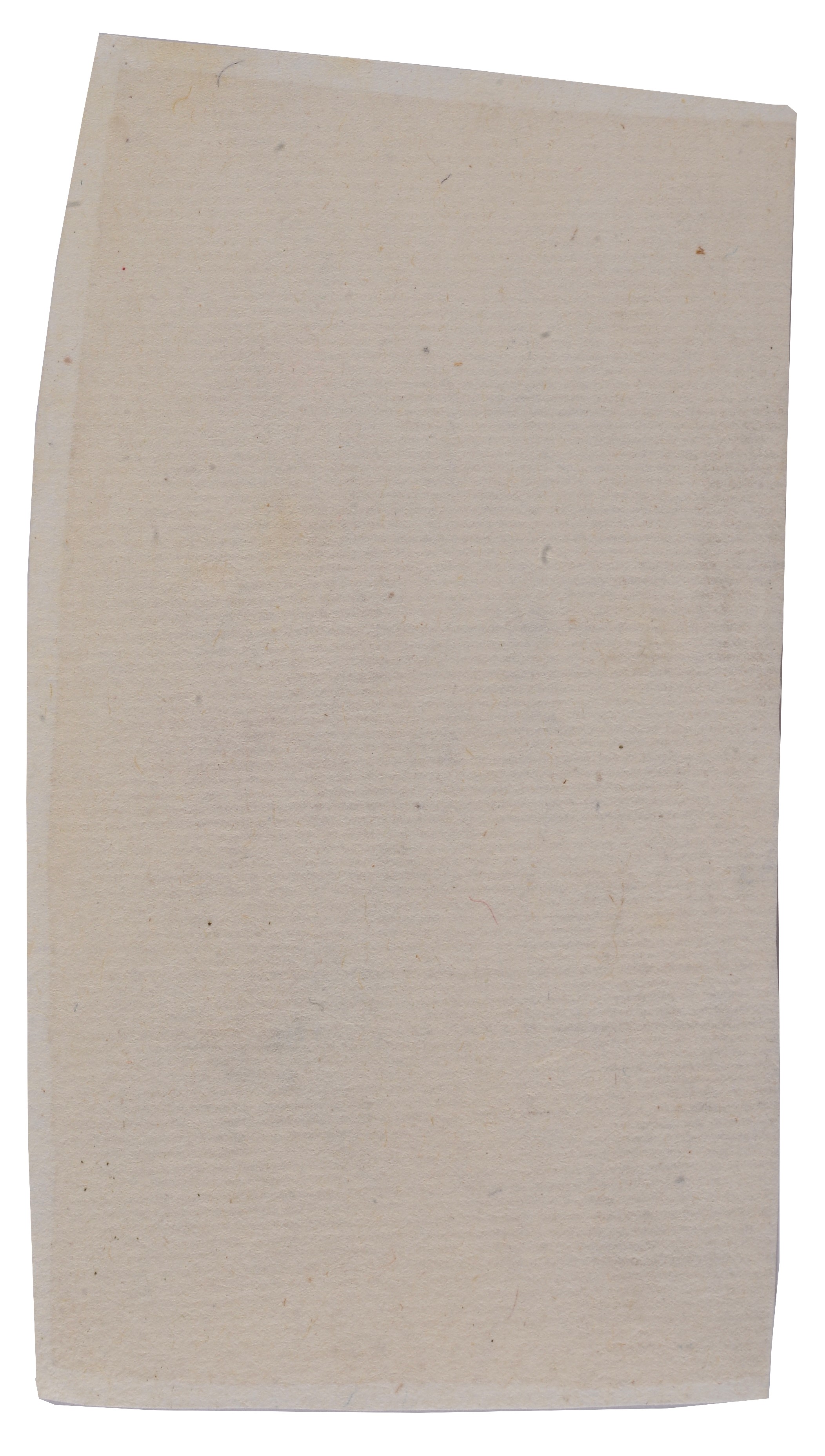 Profilo di testa femminile e volto di putto