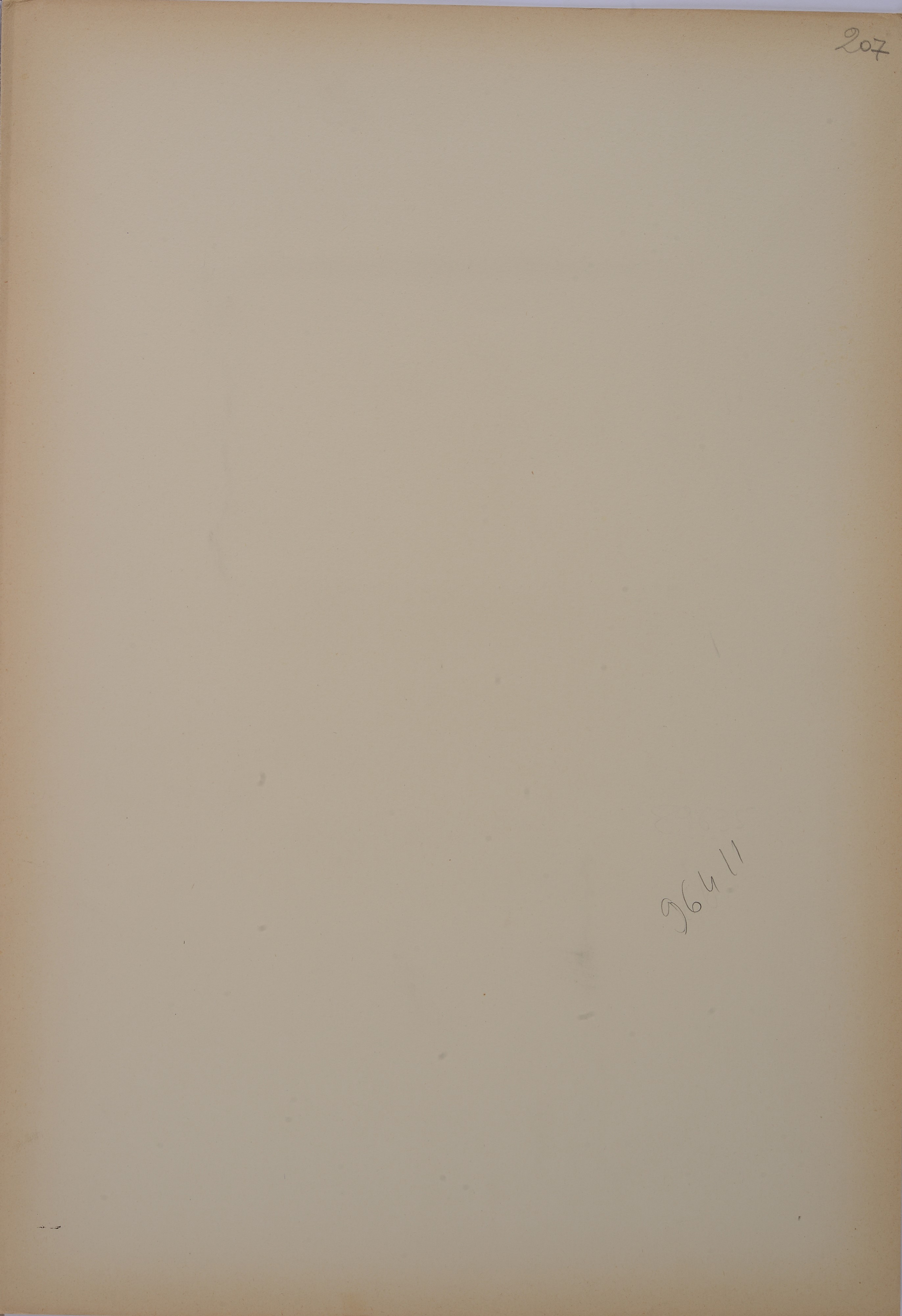 Studio per angeli (due fogli)