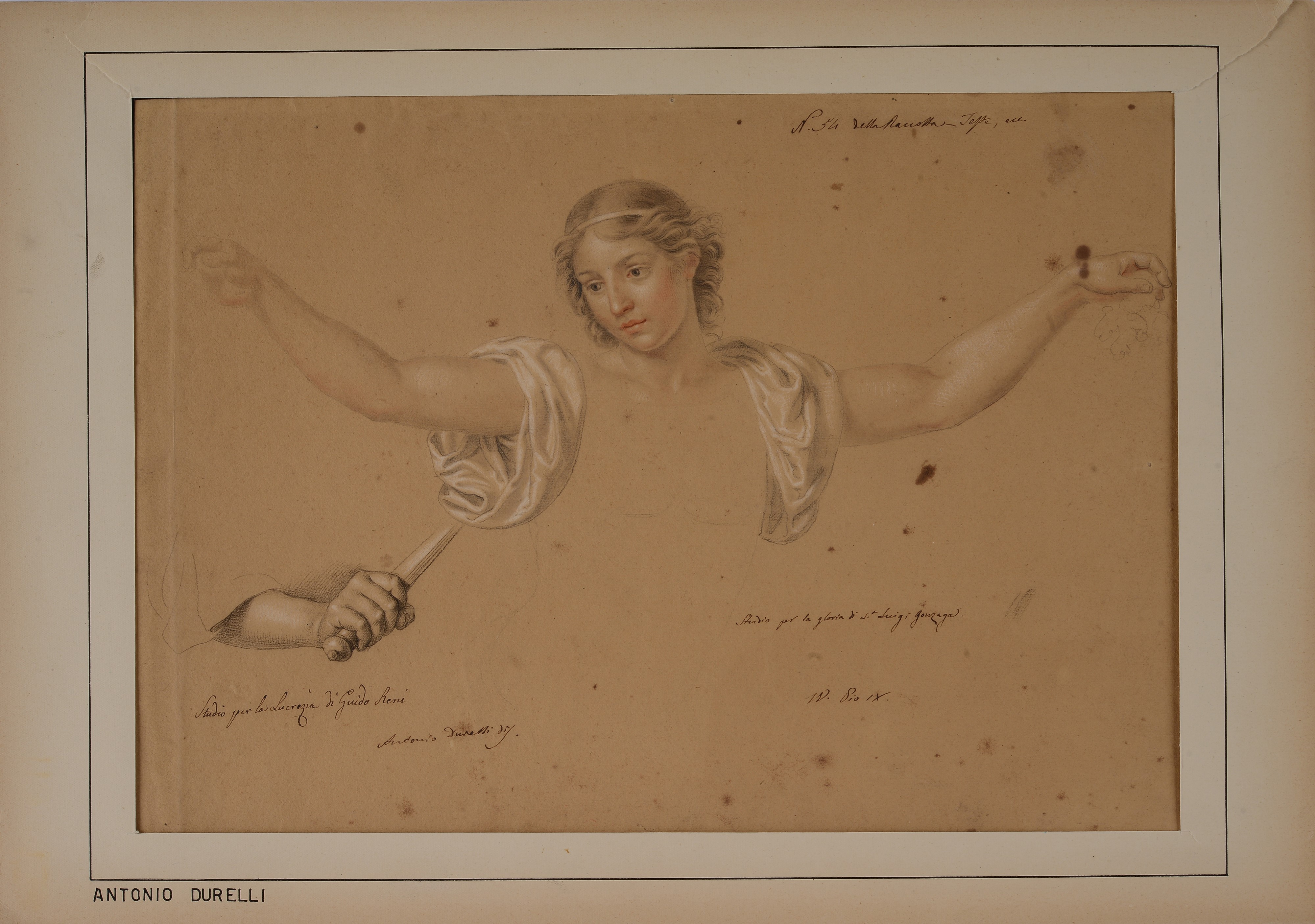 Studio per la Lucrezia di Guido Reni