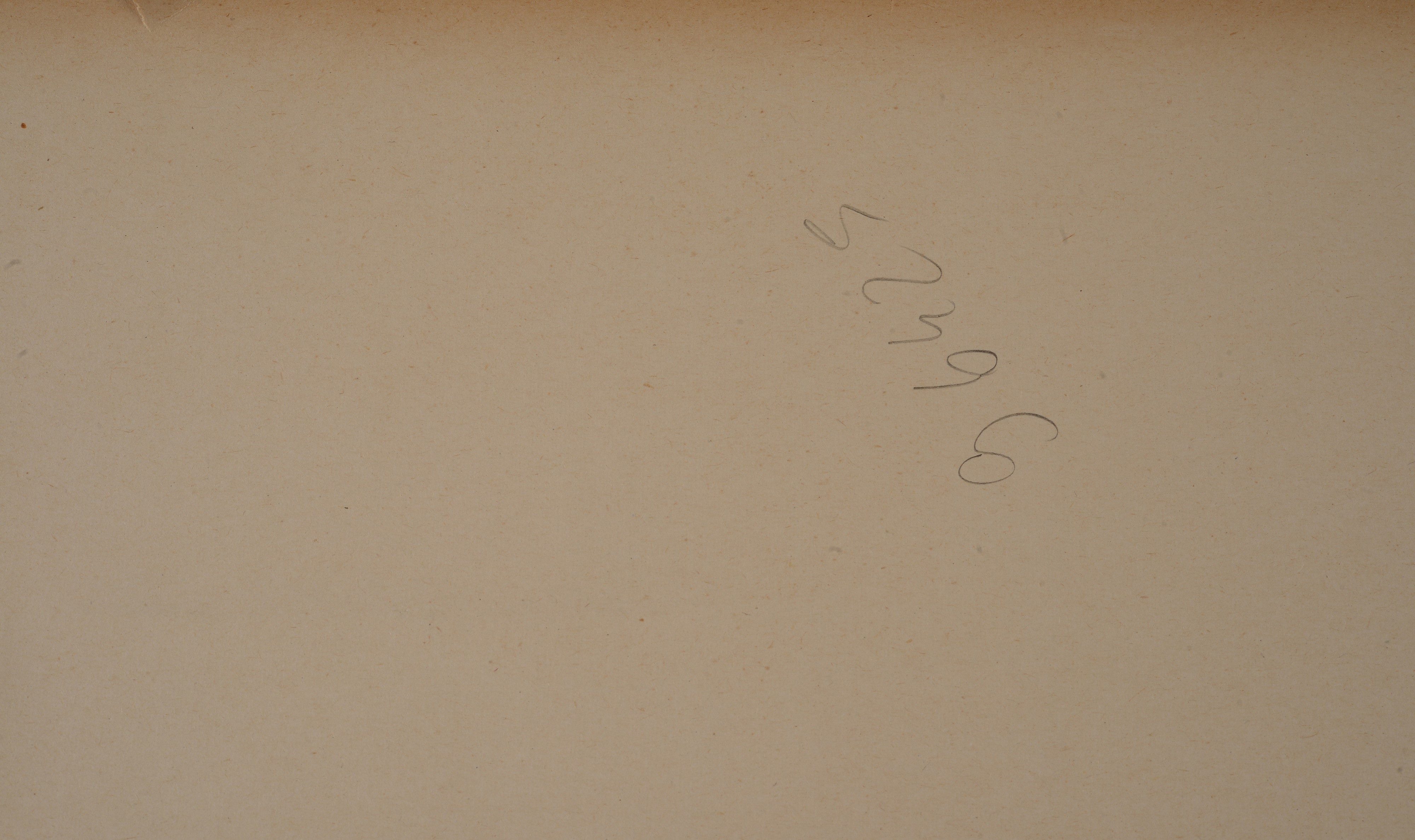 Studio di giovinetto