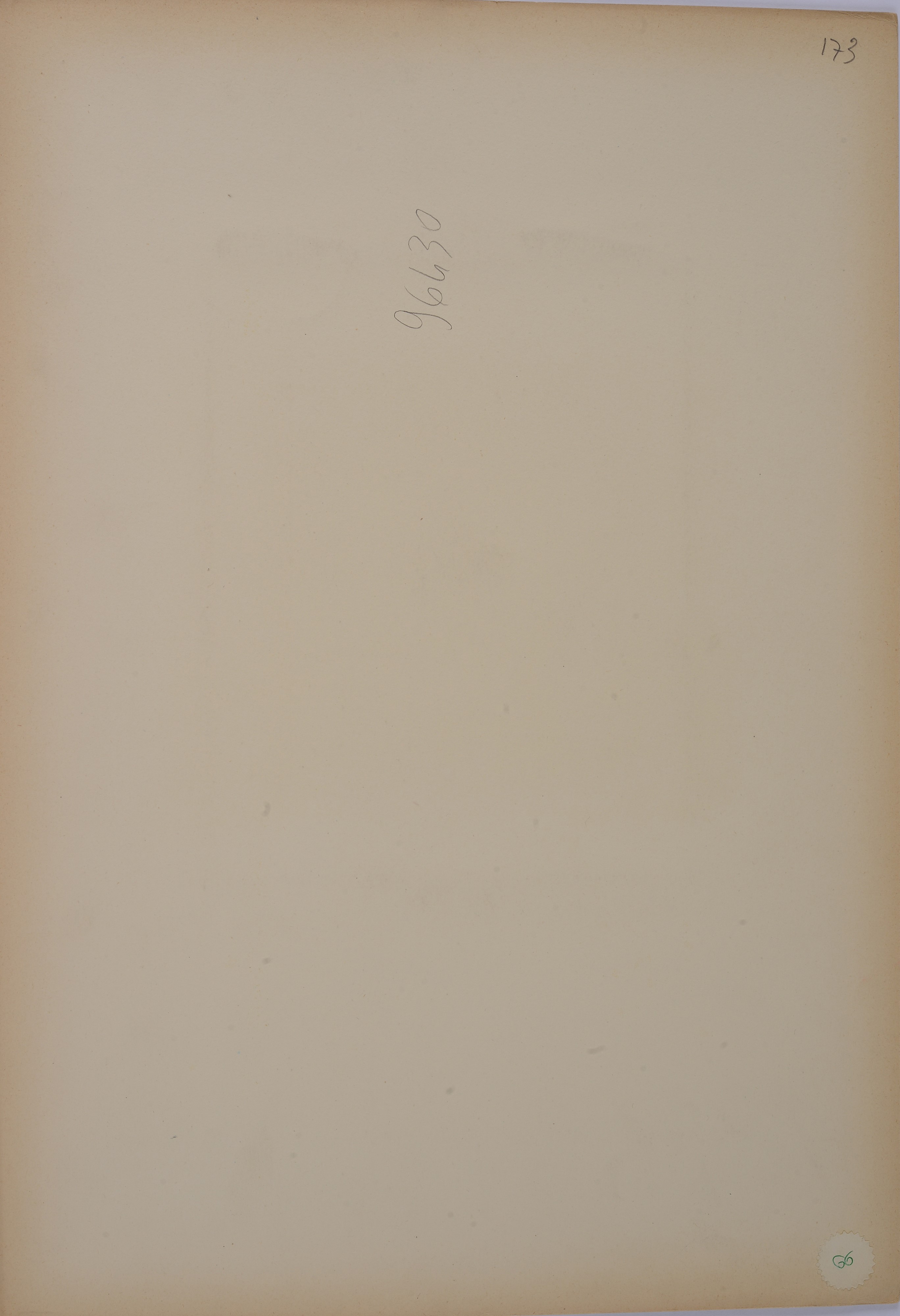 Busto femminile e figura