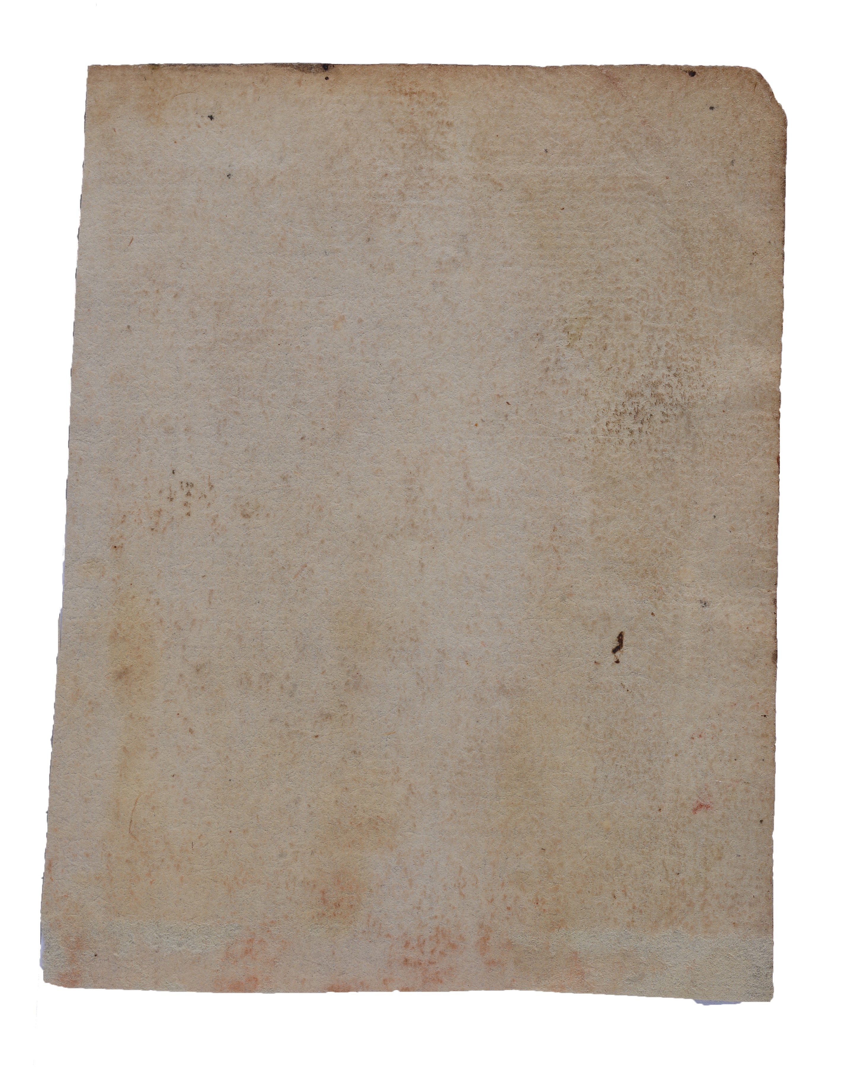 Testa dell'Imperatore Tito