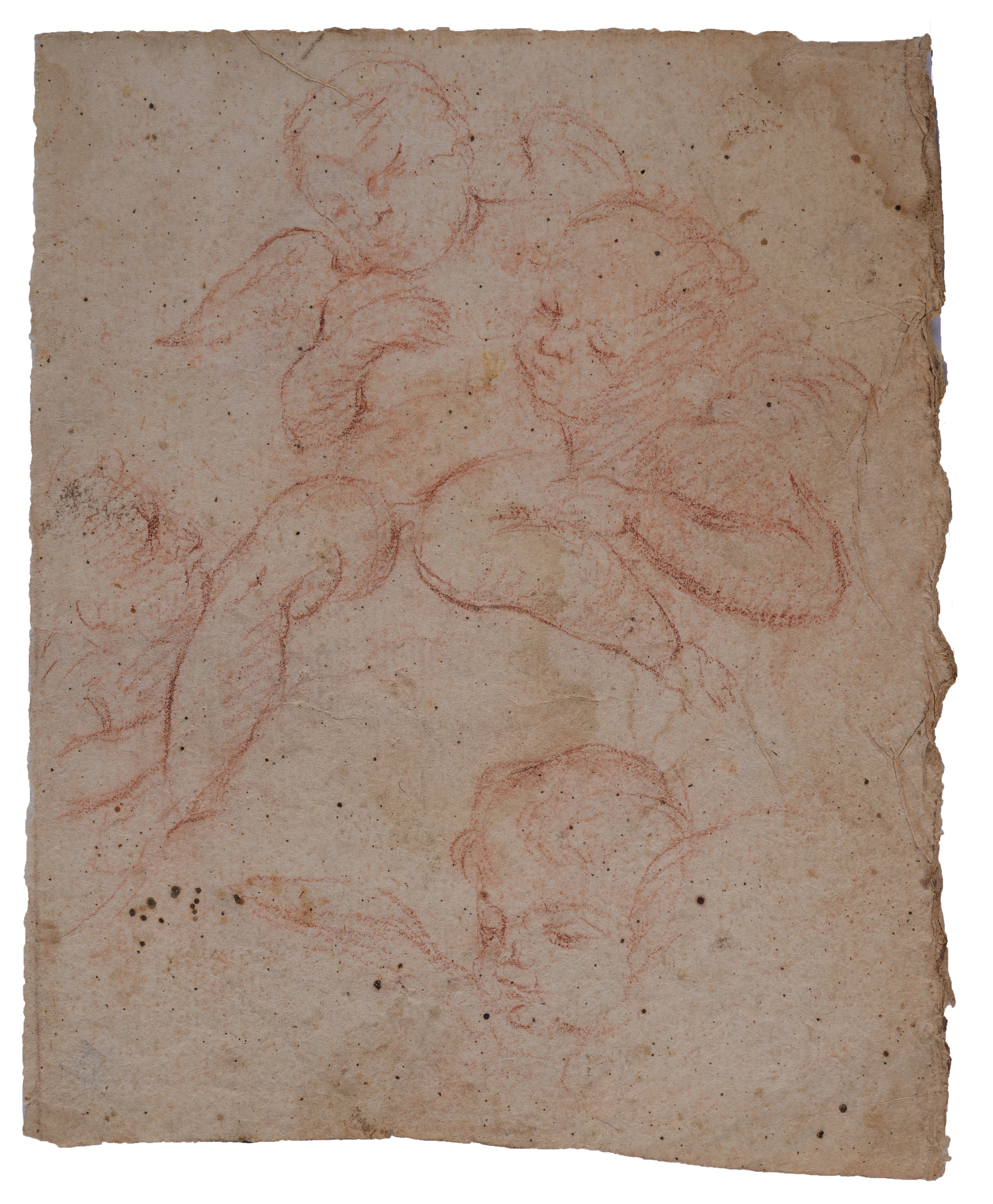 Studio di testa e piede