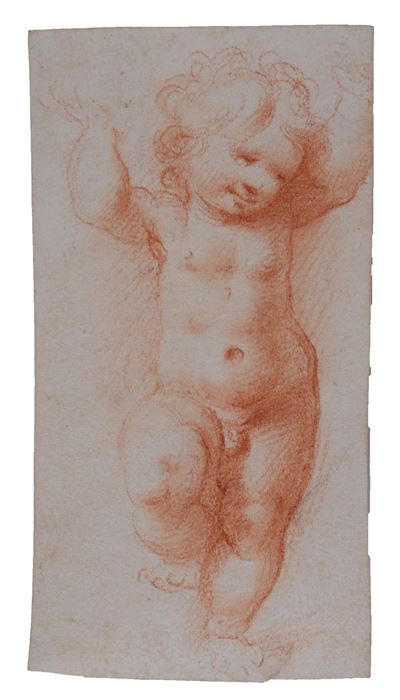 Putto