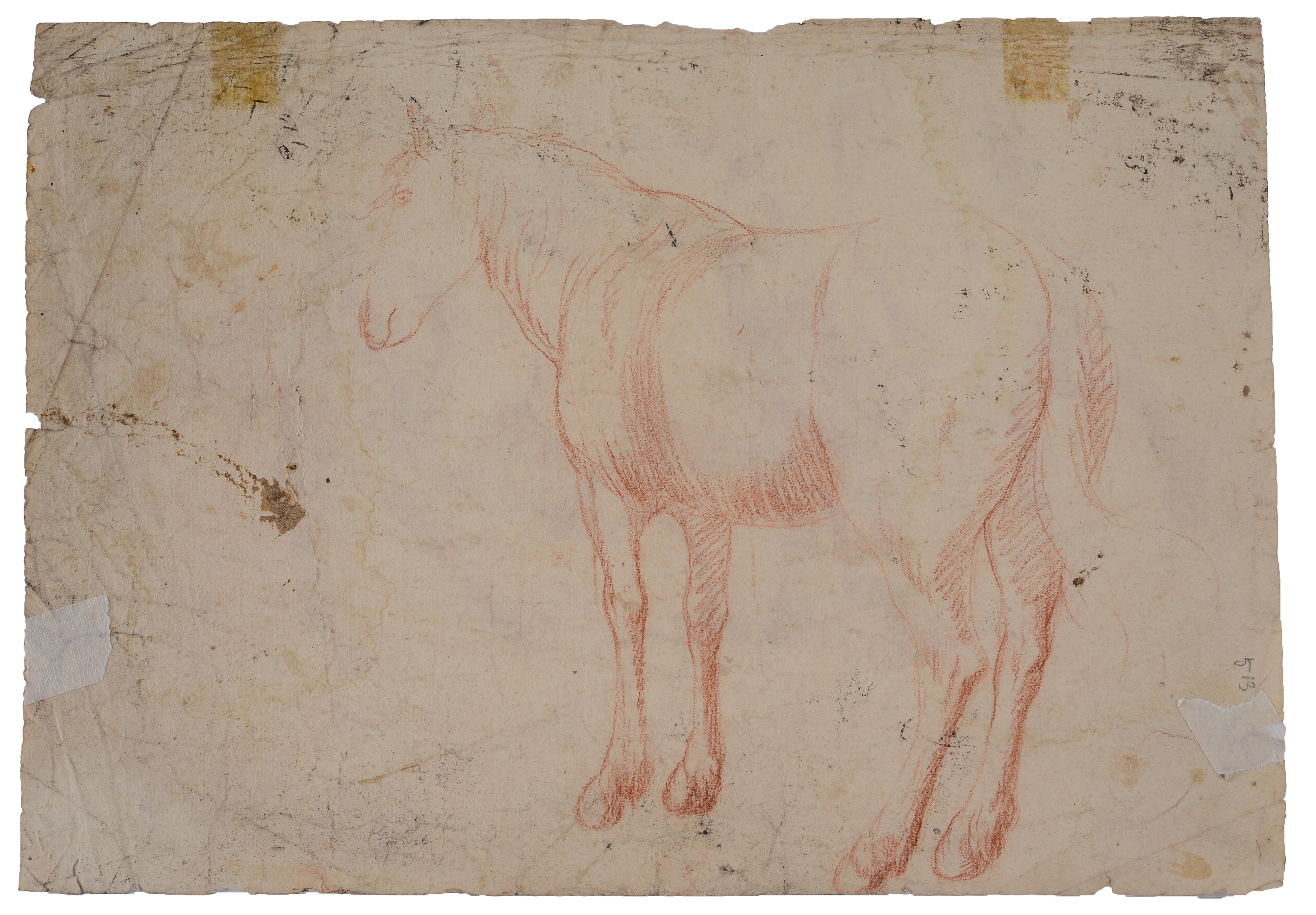 Anonimo, XVIII Sec. - Coppia di Cavalli (fronte) - Cavallo (retro)