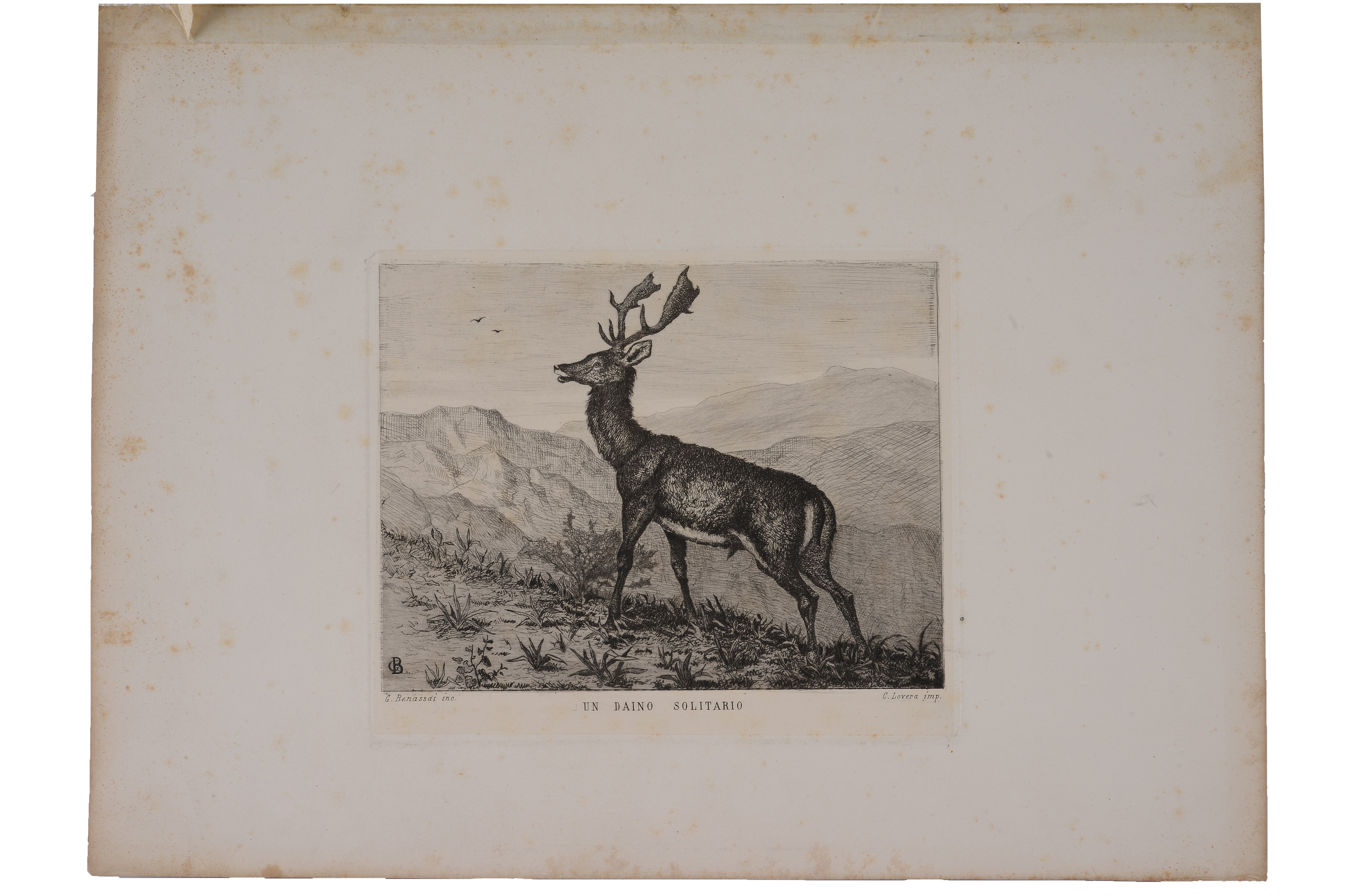 Lotto composto da cinque opere di grafica