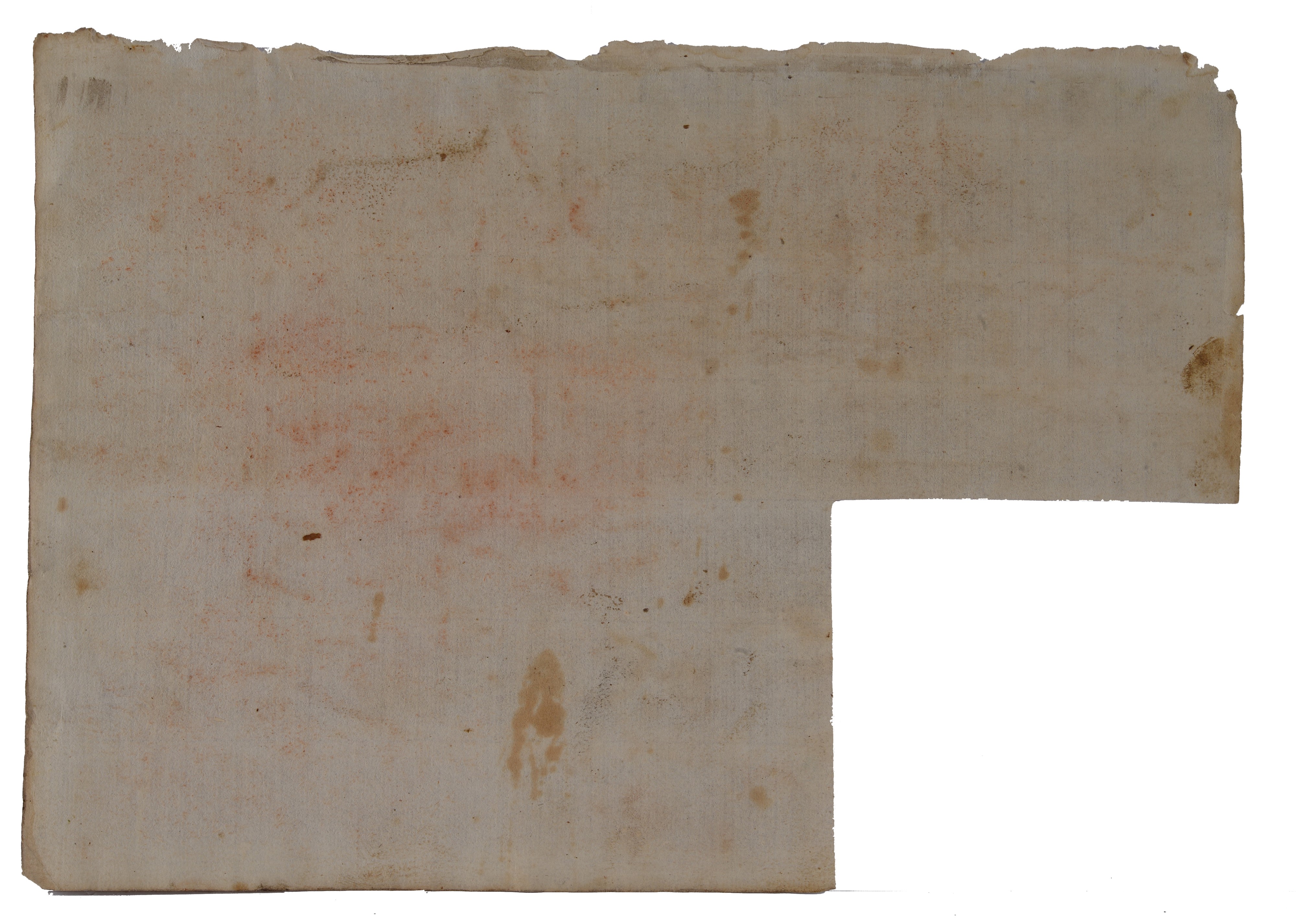 Studio per decorazione