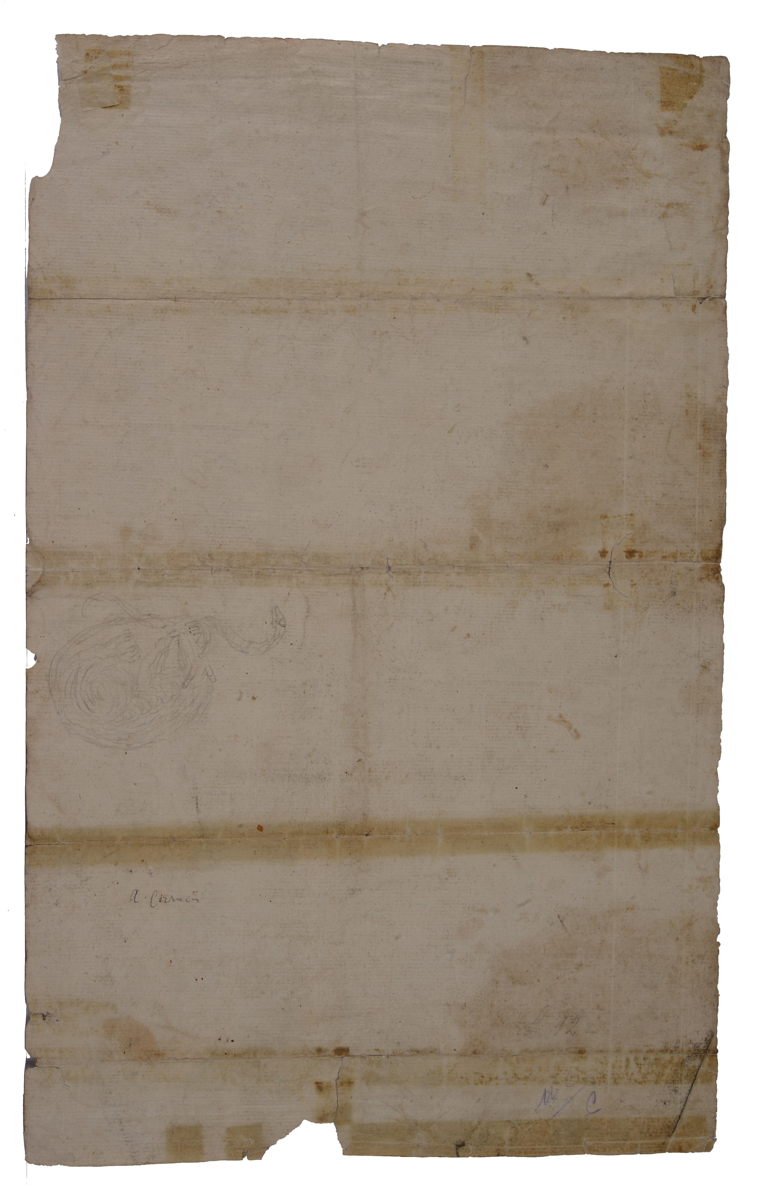 Ascensione della Vergine (da Agostino Carracci)