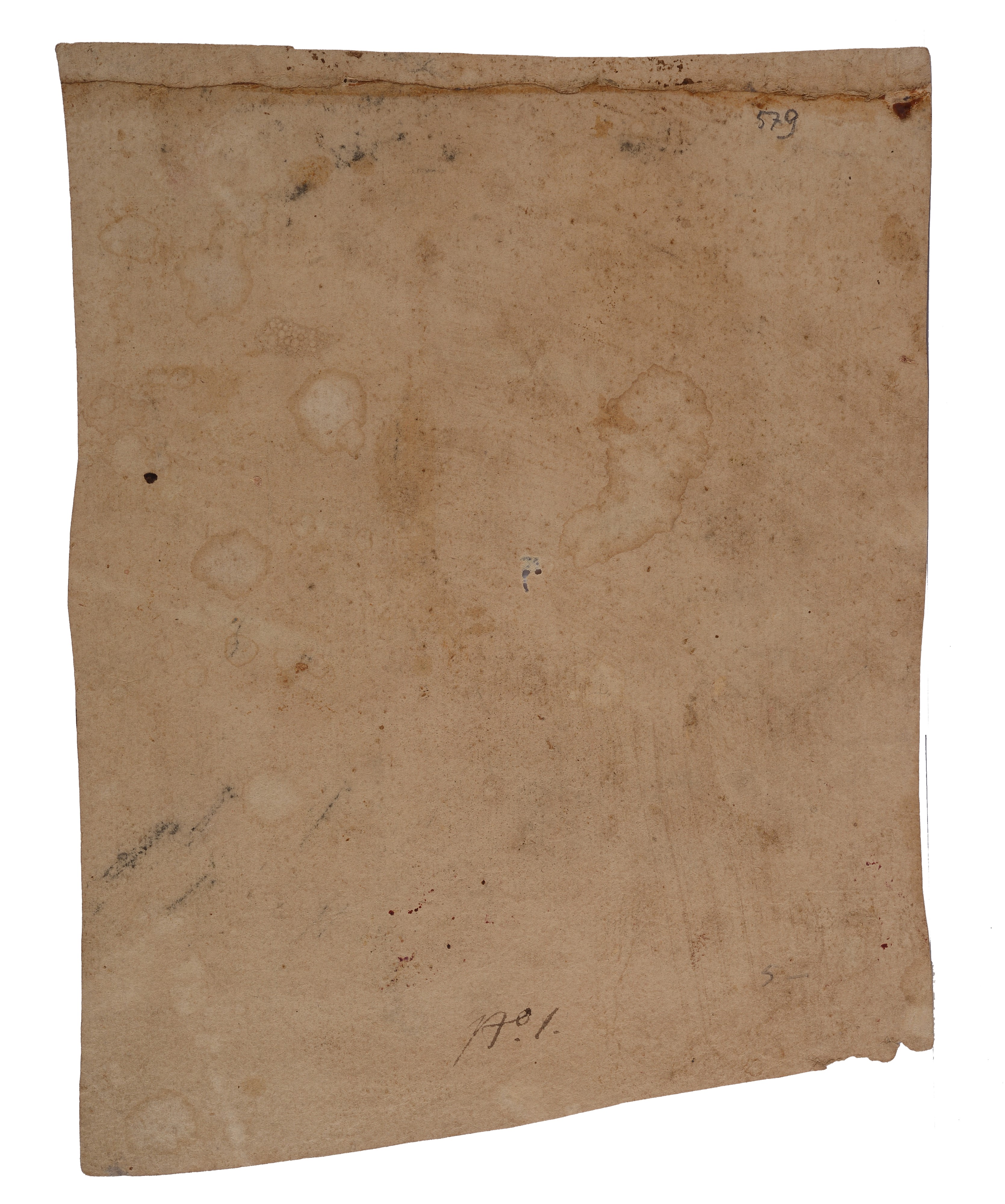 Studio per una santa