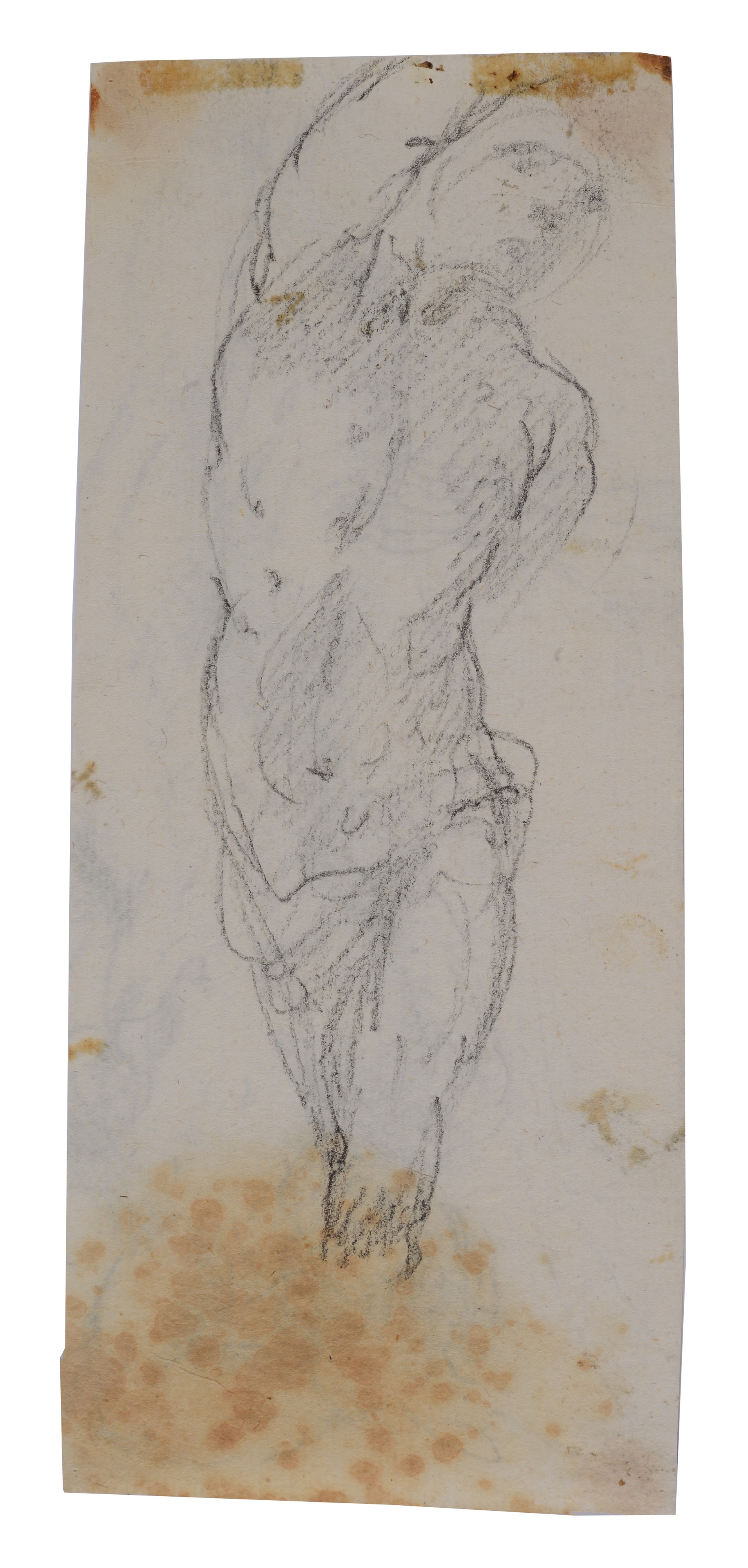 Nudo (fronte e retro)