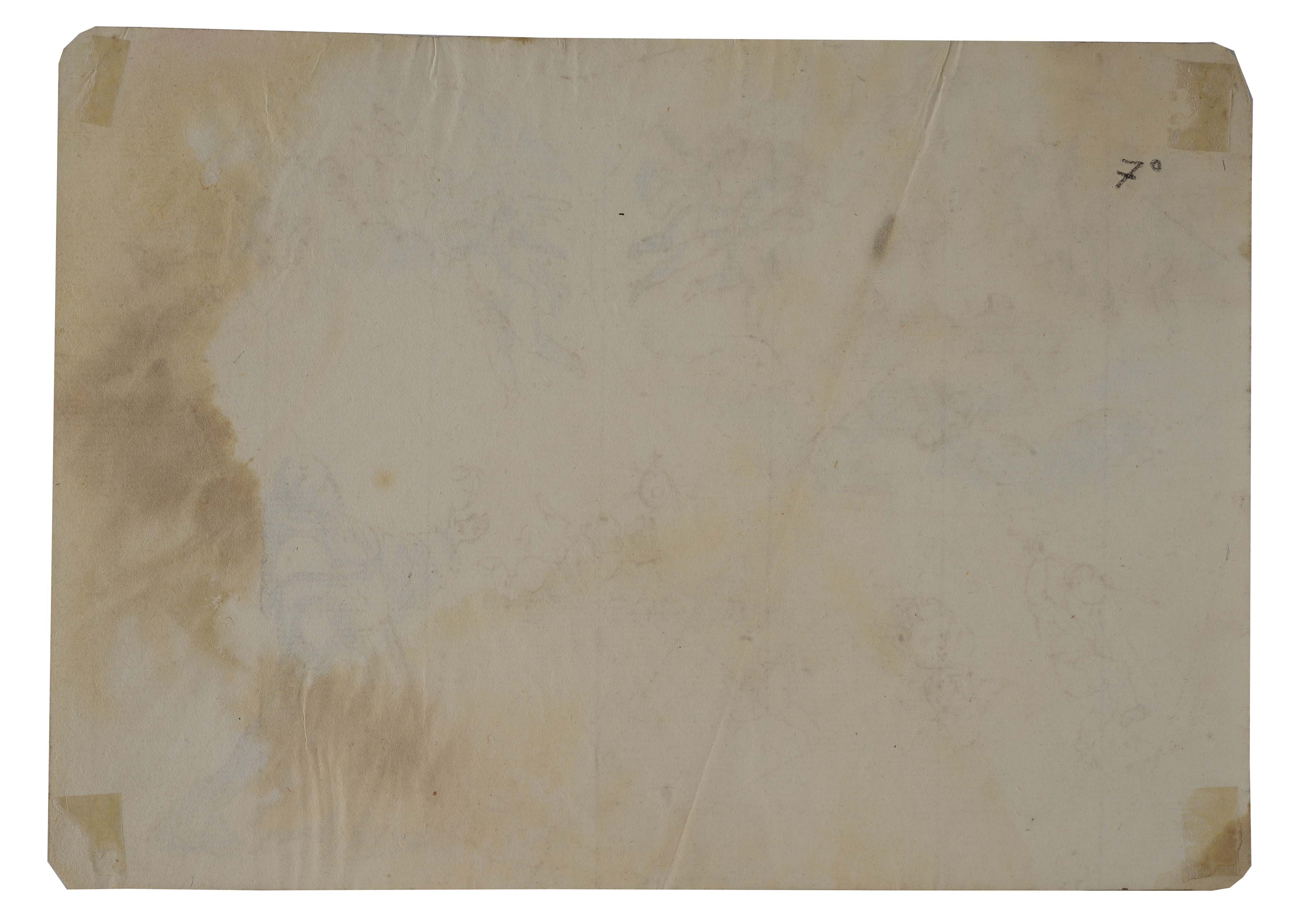 San Francesco tra gli angeli