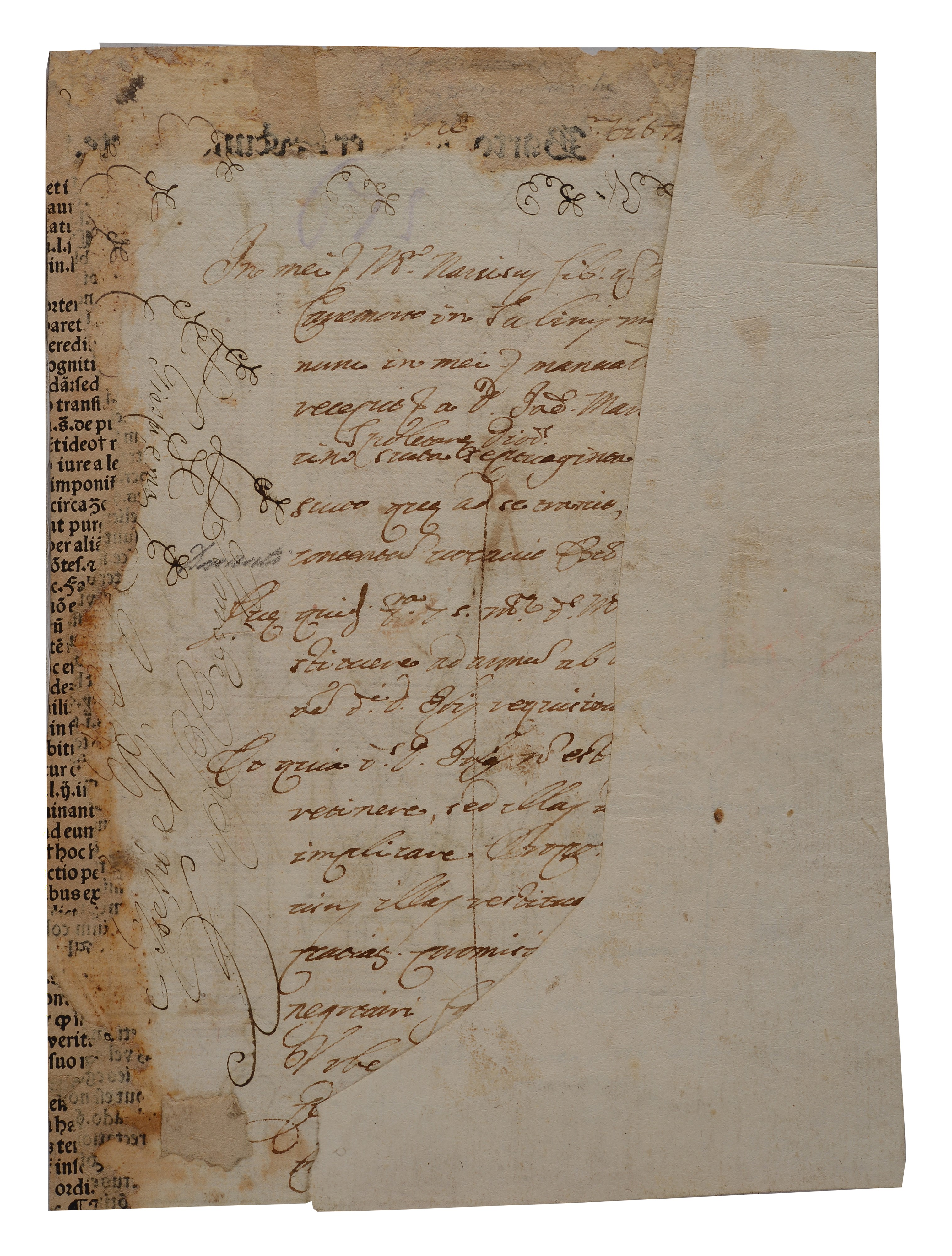 Anonimo, XVII - XVIII Sec. - Susanna e i Vecchioni