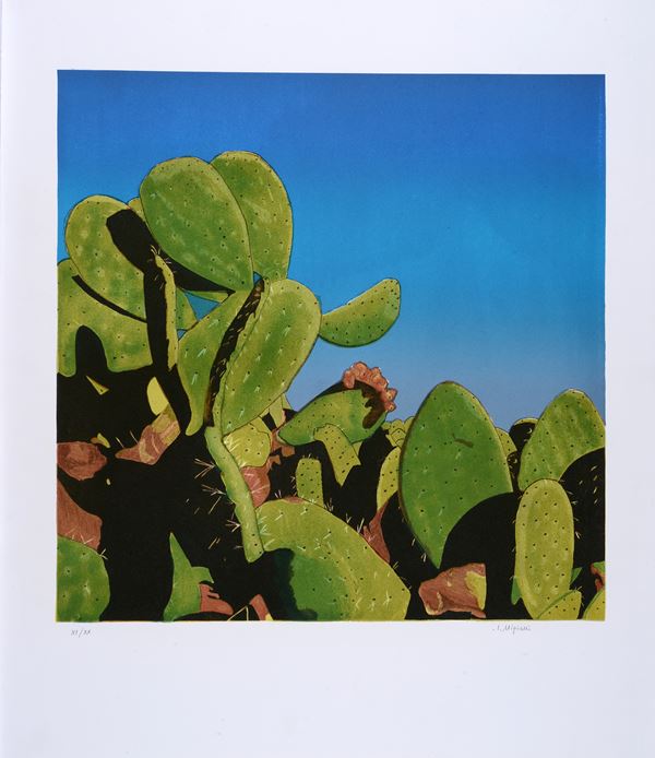 Impero Nigiani : Cactus  - Litografia - Asta GRAFICA E MULTIPLI - Pananti Online