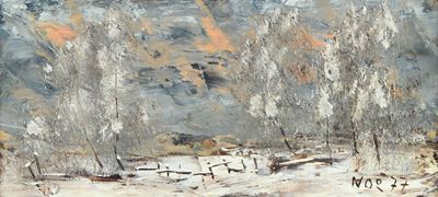Paesaggio Innevato