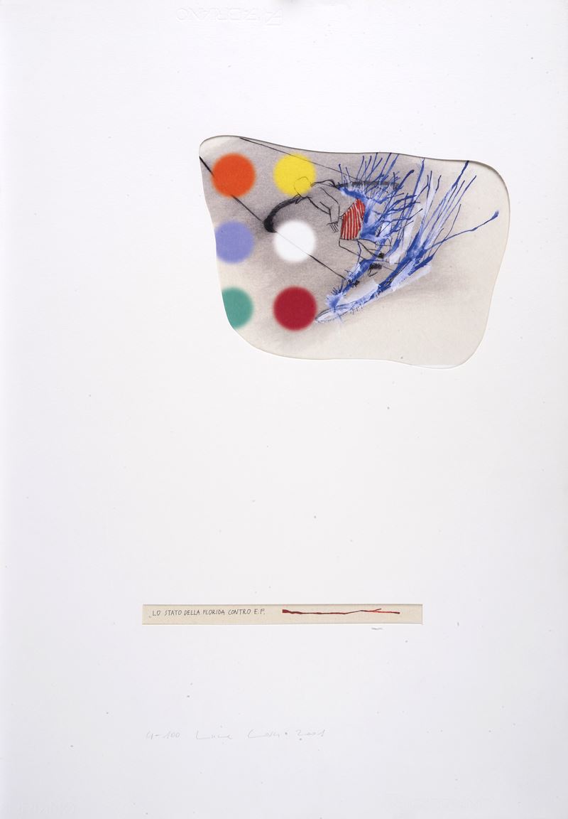 Lo stato della Florida contro E. F.