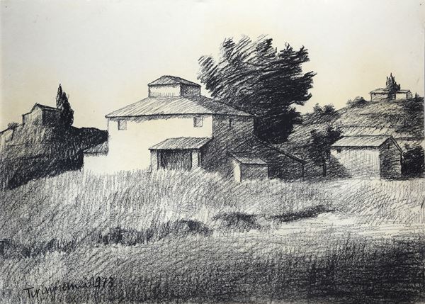 Nino Tirinnanzi - Case nel Chianti