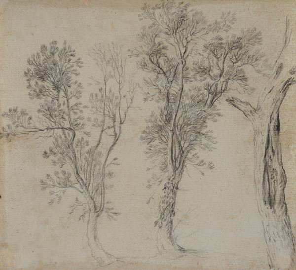 Anonimo, XVIII - XIX sec. - Studio di alberi