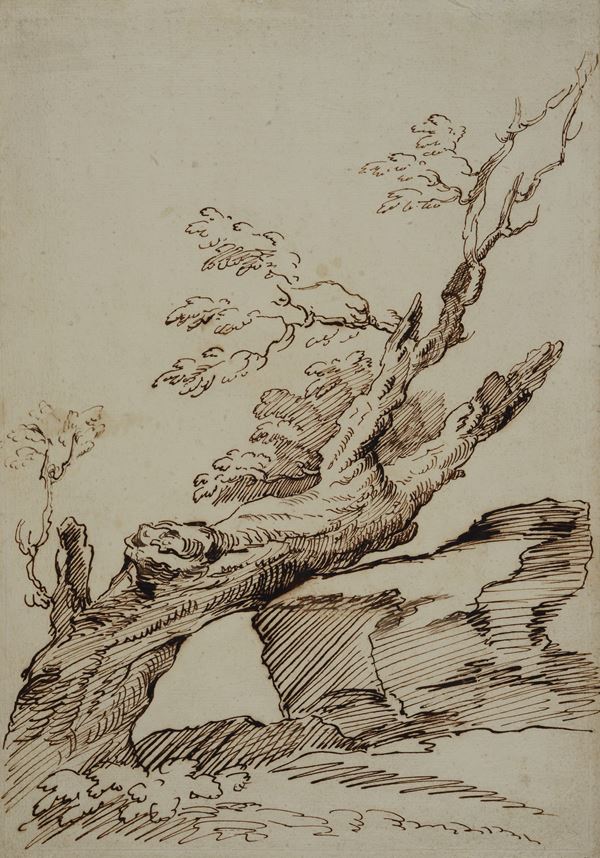 Anonimo, fine XVIII sec. - Studio di alberi