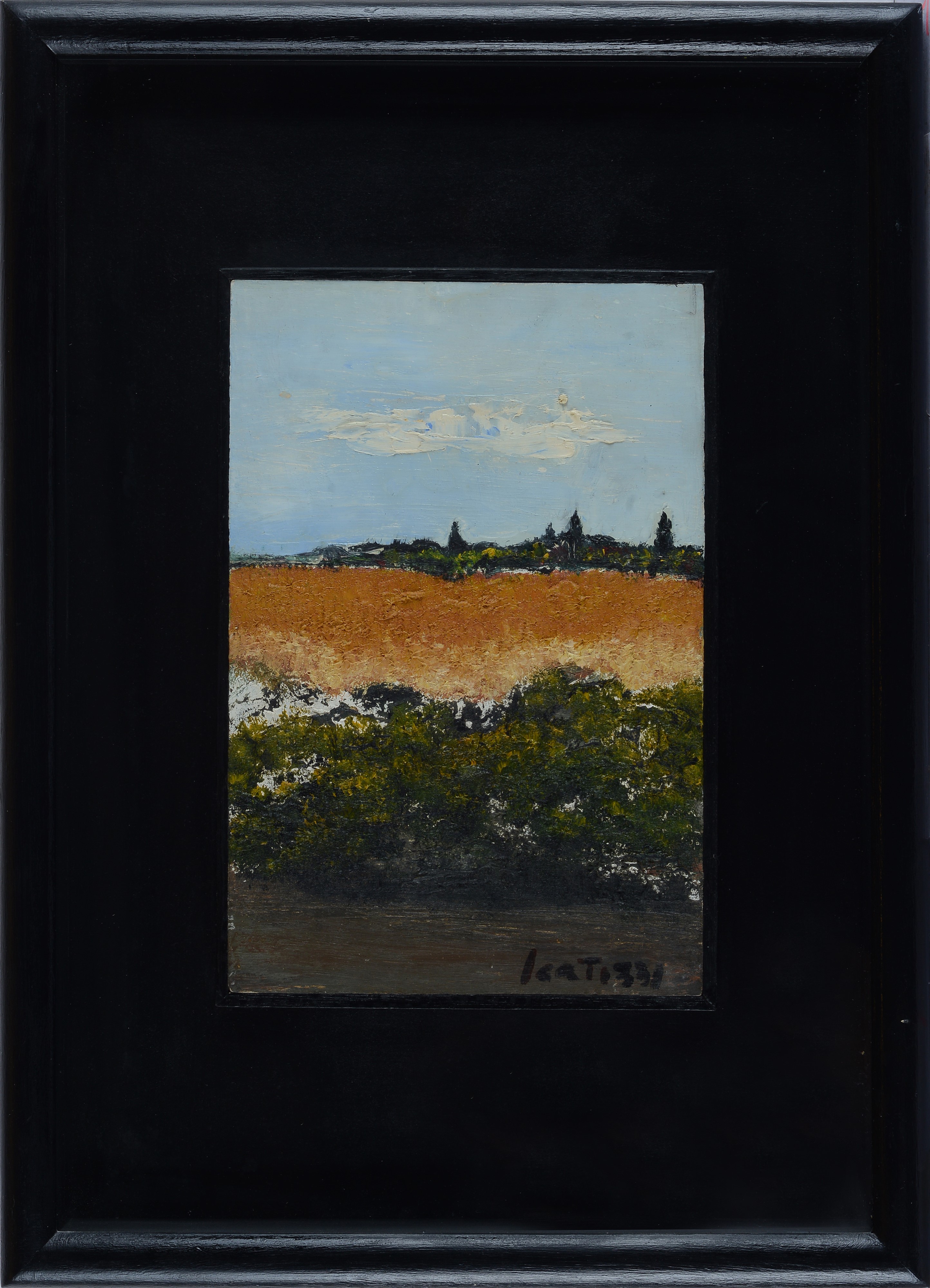 Paesaggio in Valdarno