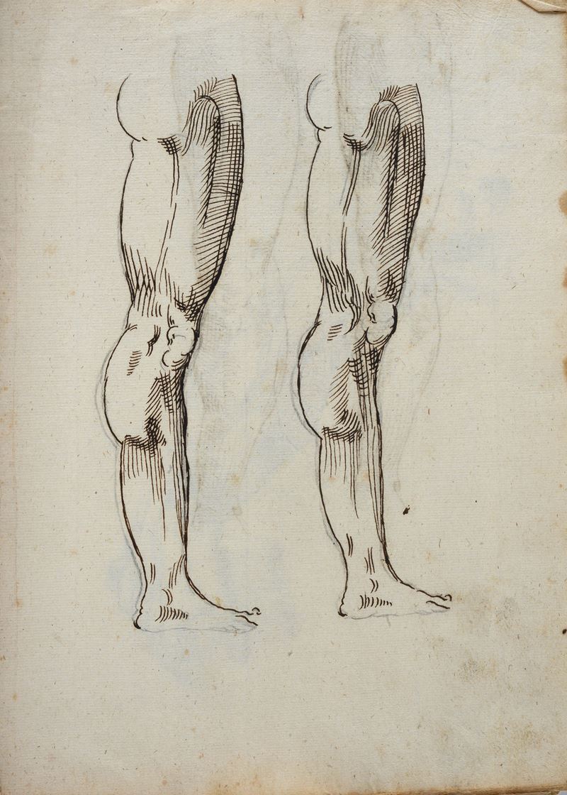 Studi anatomici