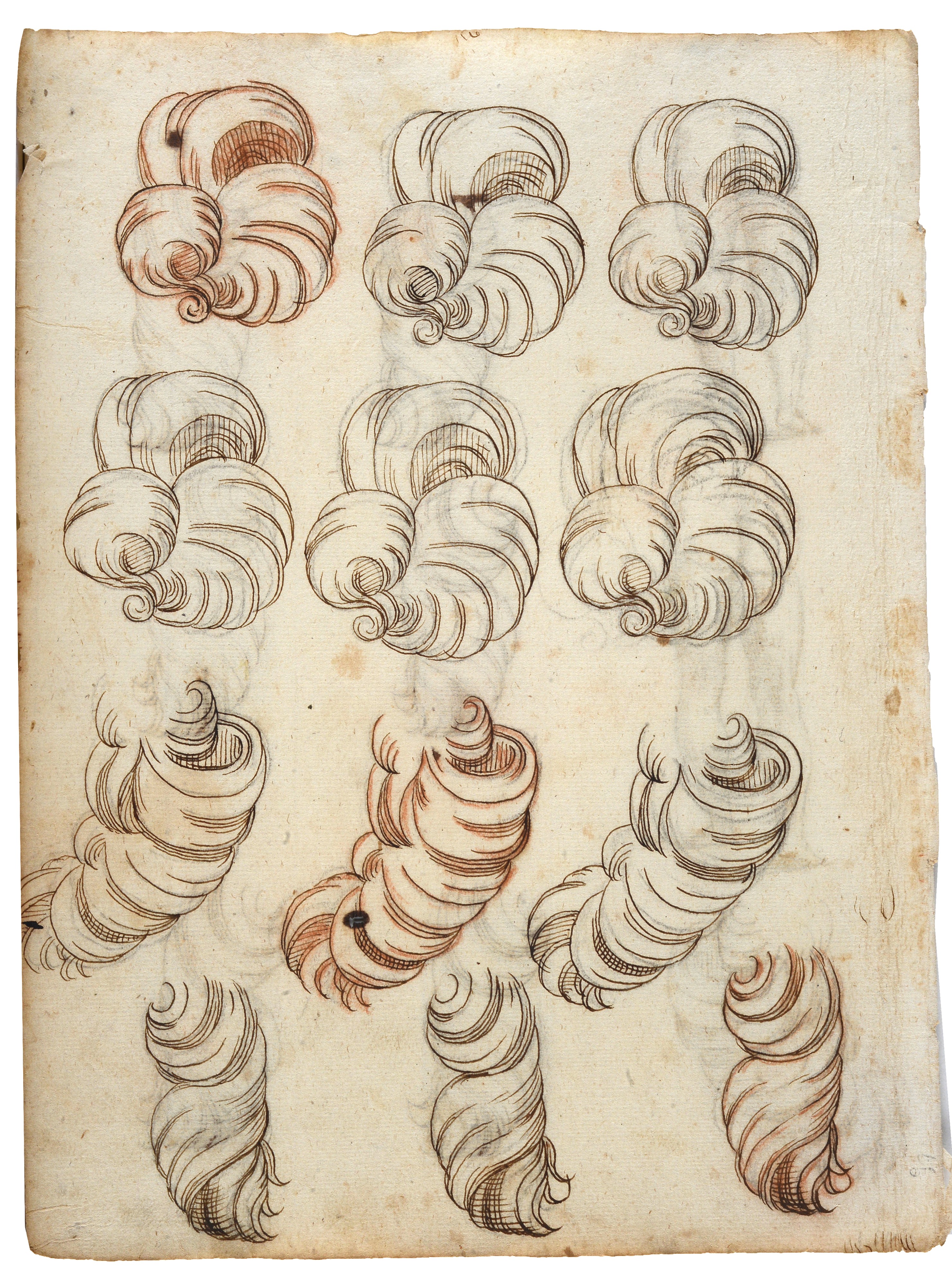 Studi anatomici e di capigliature (fronte e retro)